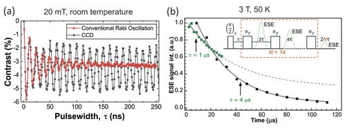 Figure 13. (a) Stabilization of Rabi oscillation by using an amplitude modulated CCD scheme in a weak (20 mT) magnetic field at room temperature. The spin dephasing time is increased from 31 ns to 2.2 s. Reproduced from [Citation109]. (b) Reducing the decay of the electron spin echo (ESE) signal in a 3 T magnetic field at 50 K using the CPMG scheme with two different pulses lengths. The coherence time was extended to 36 s for the gray dashed line () and to 28.6 s for the solid line (). Reproduced from [Citation121]. Copyright by American Chemical Society.