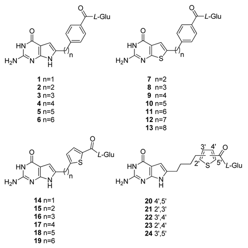 Figure 8. 6-Substituted pyrrolo- and thieno[2,3-d]pyrimidine antifolates with hPCFT and FR specificity over hRFC. Structures are shown for 6-substituted pyrrolo[2,3-d]pyrimidine benzoyl antifolates with carbon bridge length variations of 1- to 6-carbons (compounds 1–6, respectively), 6-substituted thieno[2,3-d]pyrimidine benzoyl antifolates with bridge length variations from 2–8 carbons (compounds 7–13, respectively), 6-substituted pyrrolo[2,3-d]pyrimidine antifolates with a thienoyl replacement for the benzoyl moiety and bridge length variations from 1–6 carbons (compounds 14–19, respectively), and 6-substituted pyrrolo[2,3-d]pyrimidine thienoyl regioisomers of compound 17 (compounds 20–24).