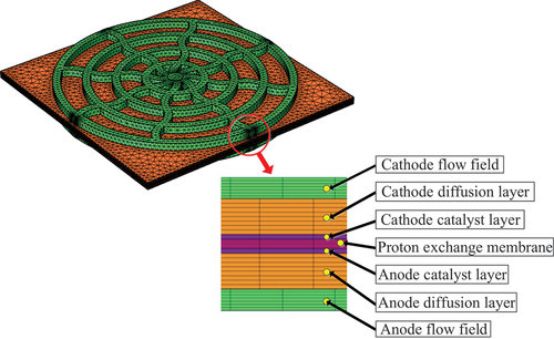 Figure 2. Computational domain of the rim-type radial FF model.