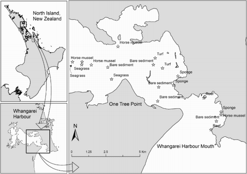 Figure 1. Sites within Whangarei Harbour where camera deployments were made (stars) to estimate abundance of post-settlement snapper and other fish. Habitat type labelled at each site. North Island, New Zealand and Whangarei Harbour inset.