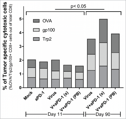 Figure 6. Presence of tumor specific CD8 cells in spleens at two different time points. Stacked percentages of OVA/gp100/Trp2 specific CD8+ CD3+ splenocytes. Samples from day 11 (n = 6-7) and from survivors at day 90 (n = 2 from virus alone group, n = 6 from virus + anti-PD-1[simultaneous] and n = 9 from virus + anti-PD-1 [prime and boost]).