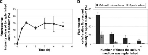 Figure 3 Cellular uptake and release of fibroin microspheres.Notes: A series of inverted phase-contrast microscope images of 3T3 cells secreting microspheres after medium replenishment (A). Arrows indicate secretion of microspheres. Scatter plots of FL1-height (FL1-H; FITC fluorescence) versus forward scatter (FSC) of cells, culture media, microspheres, and spent culture media (B). A time course of the relative fluorescence intensity of the replenished culture medium of cells treated with FITC–dextran-containing microspheres (C). The percentage of fluorescent cells and the fluorescence intensity of the spent culture medium according to the number of times the medium was replenished (D).Abbreviations: FITC, fluorescein isothiocyanate; FSC, forward scatter; min, minutes; h, hours.