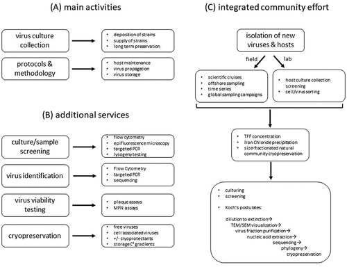 Figure 2. Schematic representation of the type of services an Aquatic Virus Culture Collection (AVCC) may be able to provide, and a road map for the isolation of novel host-virus model systems. (A) Main services are predominantly deposition and supply of viral strains and their long term preservation in culture or a cryopreserved state. (B) Additional services which will allow for the collection to be financially sustainable include sample screening for viruses, identification of viruses, viability testing and optimisation of cryopreservation methods. (C) The road map for isolating novel hosts and their viruses from aquatic include field- and lab based approaches with the ultimate goal being fulfilment of Koch’s postulates of new viruses and their hosts, and their subsequent long term preservation at the AVCC.