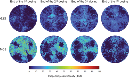 Figure 4. Surface images for G2G and MCS at the end of each particle dosing.