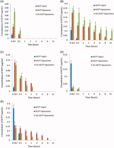 Figure 4. Concentration of HCPT in heart (A), liver (B), spleen (C), lung (D), and kidney (E) of mice at various time points after i.v. administration.