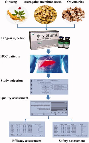 Figure 1. Graphical abstract.