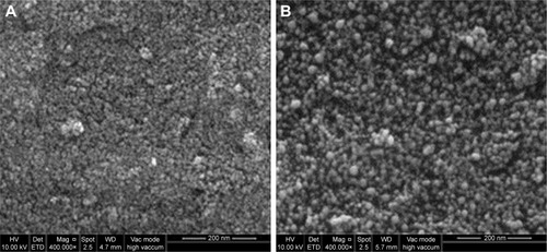 Figure 5 Surface morphology of magnetite nanoparticles with 0.5% and 3% (w/v) honey (A) and (B), respectively.