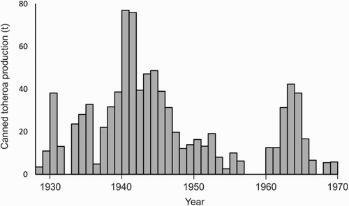 Figure 3. Total commercial production of toheroa (Paphies ventricosa; tonnes of canned toheroa product) from canneries at Northland Beaches (Te Oneroa-a-Tōhē, Ripiro and Te Rangatira) from 1928 to 1969. Data from Marine Department Annual records for 1928–1940 and 1943–1948 tabulated by Cassie (Citation1955) and for 1941–1942 and 1949–1969 graphed by Redfearn (Citation1974). Figure reproduced from Williams, Sim-Smith, et al. (Citation2013).