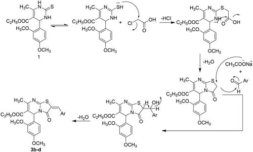 Figure 3. Plausible mechanism for synthesis of compounds 3b–d.