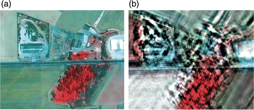 Figure 6. Fused multispectral SPOT 5 2004 image using IHS (a) and AWLP (b) in the band combination 3 (near infrared), 2 (red), and 1 (green). Note the artefacts in homogeneous areas for the ALWP image.