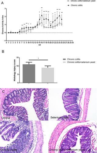 Figure 1 (A) Chronic colitis group and chronic colitis + selenium yeast group DAI scores (n = 6); (B) Histological injury scores between the chronic colitis group and the chronic colitis + selenium yeast group (n = 6); (C) H&E staining of colon tissue of four groups (×200): intestinal tissue revealed the infiltration of inflammatory cells and disruption of crypts in the chronic colitis group. Data are expressed as the mean ± standard error (*P < 0.05; **P < 0.01).