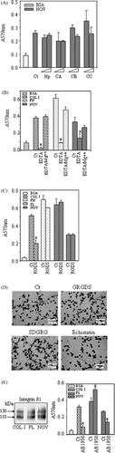 Figure 2 Integrins, but not glycosaminoglycans, are involved in C2C12 cell adhesion and spreading on NOV. (A) C2C12 myoblasts were incubated or not (Ct) in suspension with heparin (Hp), chondroitin sulfate (A) CA, (B) CB or (C) CC (10 or 100 μg/ml) for 30 min prior to plating on microtiter wells coated with NOV (6 μg/ml). (B) C2C12 myoblasts were preincubated or not (Ct) either with EDTA (2.5 mM) alone or in combination with Mg++ (5 mM) as indicated. (C) Cells were incubated or not (Ct) with GRGDS peptide (50 μM) prior to plating on microtiter wells coated with NOV, COL I, FN, PL or BSA. (D) Cells were incubated or not with GRGDS or GDGRS peptides (50 μM) or echistatin (10 −7M) prior to plating on microtiter wells coated with NOV. Following fixation and staining, cells were photographed. Notice the spread morphology of C2C12 cells plated on NOV or pretreated with GRGDS peptide opposed to the round morphology after treatment with GRGDS or echistatin. (E) Western blot analysis of β1 integrin expressed in C2C12 cells plated on NOV, COL I or PL for 90 min (left panel). C2C12 myoblasts were preincubated or not (Ct) for 30 min with 50 μg/ml mAb against integrin β1 (AB1950) prior to plating on microtiter wells coated with NOV, COL I or PL (right panel). Adhesion in A/B/C, and D was evaluated and presented as in Figure 1. (*: P < 0.05).