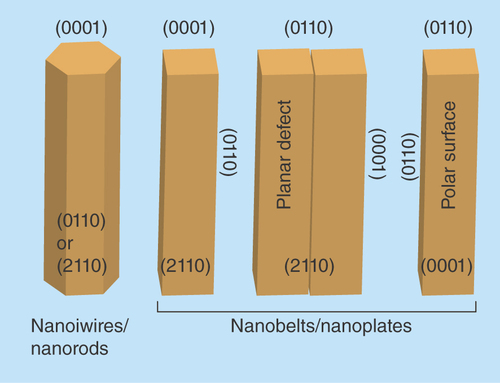 Figure 3.  Growth morphologies of ZnO nanostructures.Adapted with permission from [Citation29].