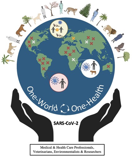 Figure 3. SARS-CoV-2 and the One-World – One-Health concept. It emphasizes that human health is dependent and intricately connected with that of animals (domestic and wild), birds and plants. A disturbance in the ecosystem results in human diseases (zoonotic or reverse-zoonotic). The letter X denotes a zoonotic event; the color red, white and yellow depict potential primary, secondary and tertiary zoonotic events, respectively.