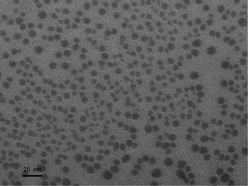 Figure 3. TEM image of silver nanoparticle seeds.
