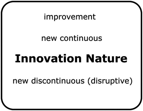 Figure 19: Innovation nature excerpt from conceptual framework.