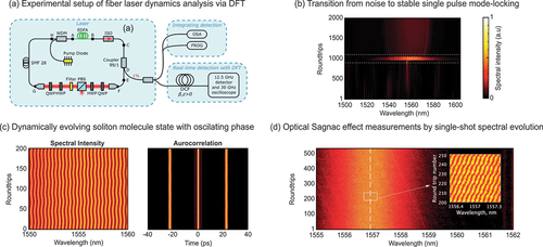 Figure 7. Examples of fiber laser evolution dynamics characterized via DFT analysis over hundreds of cavity roundtrips. (a) Experimental setup for the study of a fiber laser exhibiting soliton-similariton dynamics via DFT. (b) Single pulse mode-locking obtained after a transition from a noisy operation and an explosion regime (white dashed box), with an abrupt spectral broadening clearly captured by DFT measurements. (c) DFT measurements can be used to study the dynamical evolution of a soliton molecular state. The spectra evolution can be used to retrieve autocorrelations of the field, stemming from a ‘molecule state’ with a periodically oscillating phase. Panels (a-c) are adapted from [Citation91]. (d) Experimental observation of the Sagnac effect in a bidirectional fiber laser, illustrated by a change in the tilted modulation pattern within the DFT spectra. Adapted from [Citation103].