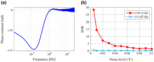 Figure 14. a: Phase contrast with additional random noise (noise level = 0.005 °C); b: SNR of the phase contrast at the negative minimum (f = 0.13 Hz) and at the positive maximum (f = 1.67 Hz).