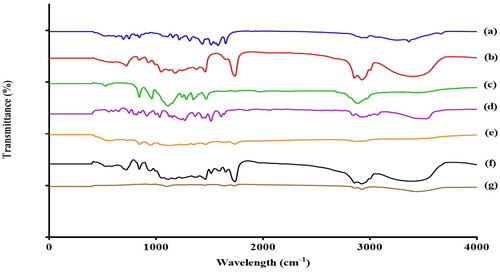 Figure 4. FTIR spectra of (a) pure ATV (b) GMO (c) Kolliphor® P 407 (d) Eugenol (e) Gelucire® 44/14 (f) Physical mixture (g) OEEPC.
