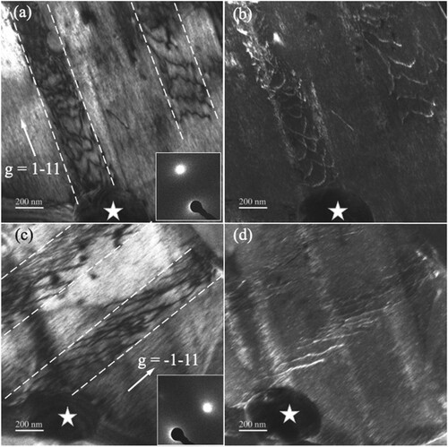 Figure 3. Dislocation analysis in room temperature nanoscratch-tested micron-grain HEO at ∼150 mN applied normal load: (a, b) Two beam bright-field and weak-beam dark-field TEM images with g = 1–11 near [011] zone axis. (c, d) Two beam bright-field and weak-beam dark-field TEM images of the same region as in (a, b) with g = −1–11 near the [011] zone axis. The dislocations observed are 12<110>{1–10} type. The star marks the same location in the sample to guide the eye.