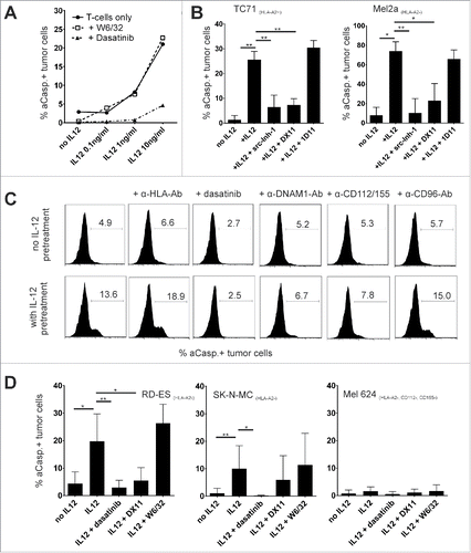 Figure 4. HLA-independent tumor-cell lysis is mediated by DNAM-1. (A) Caspase-3 assay against HLA-A02:01+, STEAP1+ Ewing's sarcoma cell line TC71. T-cell clones were pre-incubated with IL12 for 48 h. IL12 (10 ng/mL), Dasatinib (50 nM) or HLA-class I blocking antibody W6/32 (10 µg/mL) were present during the assay when indicated. Mean of three different experiments. (B) Caspase-3 assay in HLA-A02:01-melanoma cell line Mel2a (right), HLA-A02:01+, antigen positive Ewing's sarcoma cell line TC71 (left) with STEAP1 specific clonal T cells. E/T ratio 20:1. T cells were or were not pre-incubated for 48 h with 10 ng/mL IL12. Src-inhibitor-1 (100 nM), DNAM-1 blocking antibody DX11 (10 µg/mL) and NKG2D blocking antibody 1D11 (10 µg/mL) was added were indicated. Results from five independent experiments. (C) Purified Melan-A sp. T cells were pre-incubated for 48 h with or without 10 ng/mL IL12. Mel2a melanoma cells were used as targets. As indicated, dasatinib (50 nM), or various blocking antibodies (10 µg/mL) were added throughout the caspase-3 assay(E/T ratio was 2:1). (D) Summary of similar experiments as in (C) with different tumor cell lines Results are from eight different experiments, 2/8 with clonal Melan-A population (two different clones).