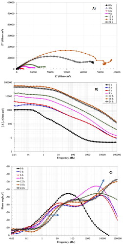 Figure 10. EIS plot for 1018 carbon steel in CO2 saturated-3% NaCl + 10 diesel at 50°C using the optimal concentration (10 ppm) of inhibitor and for different times.