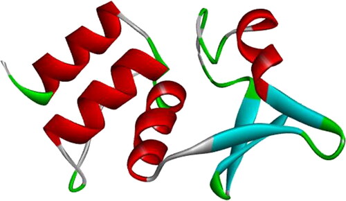 Figure 7. Protein 3 D structure of human potassium voltage-gated channel (KCNA) (PDB ID: 4BGC).