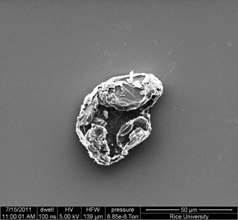 Figure 13. SEM analysis showing large aggregates of PEI-Phe(4-N-G).