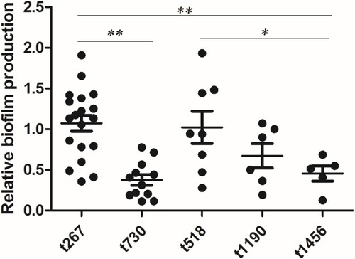 Figure 1 Boxplots of the in vitro biofilm production of Staph. aureus strains of the major spa types (n≥5). Each dot represents one strain. Biofilm production was different among the main spa types, especially spa types t730 and t1456, which produced less biofilm than the other main spa type. Significance was determined by an ANOVA test (* P<0.05; ** P<0.01).