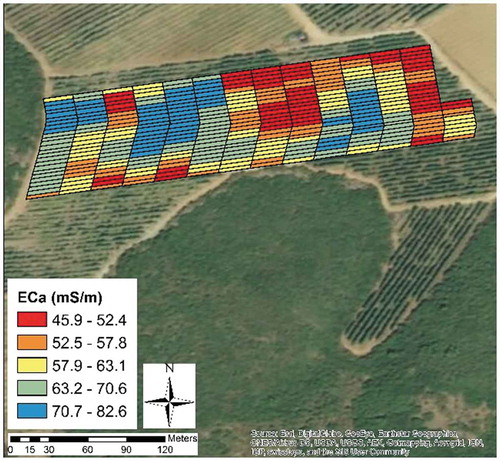 Figure 2. Apparent electrical conductivity (ECa; mSm−1) measurements collected with an EM38 and georeferenced at the center of each flagged 20 m section within the study orchard. The eastern section of the orchard had higher readings; however, 45.9 mSm−1 is a higher reading then native soils of eastern Thessaly (16 mSm−1), which suggests the orchard has heavy soils. The average texture was classified as clay loam