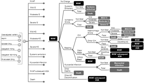 Figure 1. Schematic of Markov model. ASA, aspirin; CRNM, clinically relevant non-major; ICH, intracranial hemorrhages; NVAF, non-valvular atrial fibrillation; AC, anticoagulant; IS, ischemic stroke; HS, Hemorrhagic stroke.