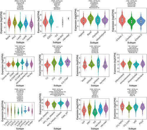 Figure 5 CCT8 expression in pan-cancer molecular subtypes. CCT8 expression in molecular subtypes of BRCA, ESCA, HNSC, KIRP, LGG, LIHC, LUSC, OV, PRAD, SKCM, STAD and UCEC. The abscissa represented various subtypes of different tumors, and the ordinate represented the CCT8 expression. The Kruskal–Wallis test was used for the above analysis.