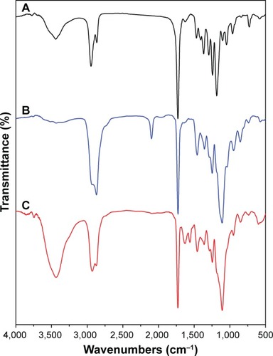 Figure 3 Fourier transform infrared spectra of (A) PCL-Br, (B) PCL-b-P(OEGMA-co-AzPMA) and (C) shell cross-linked micelles.Abbreviations: AzPMA, 3-azidopropyl methacrylate; OEGMA, oligo(ethylene glycol) ethyl methacrylate; PCL, polycaprolactone.