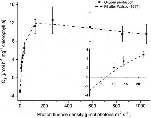Fig. 1. Effects of photon fluence rates on oxygen evolution of Batrachospermum turfosum. The inset shows the PI curve in low light. Data were fitted according to the model of Walsby (Citation1997). All measurements were conducted at 20°C (n = 4, means ± SD).