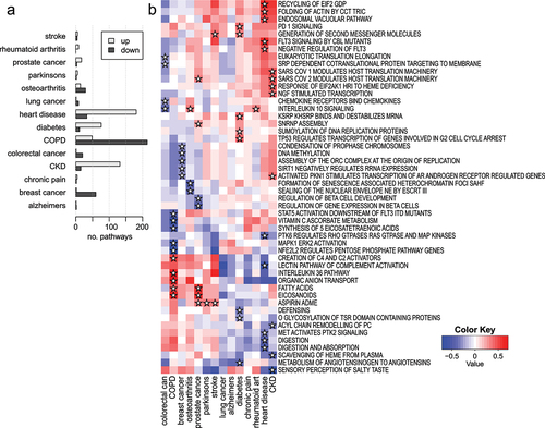 Figure 8. Differential pathway methylation associated with prevalence of 14 common disease states. (a) A bar plot showing the number of statistically significant pathways with higher and lower methylation identified in each prevalent condition (FDR <0.05). (b) A heatmap of enrichment scores for selected pathways across 14 common prevalent disease states. Stars indicate that the pathway was identified as being among the top five differentially methylated pathways in each direction for each condition.