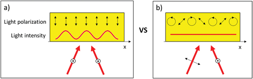Figure 35. Spatial patterns of light intensity (red line) and polarization (thin black arrows) generated by two crossed beams (thick red arrows) with parallel (Panel a) and orthogonal polarization (Panel b). In the first case the light polarization is constant and parallel to the one of the excitation beams, in the second case the light intensity is constant while the polarization changes from linear, to right circular, linear rotated by 90 degree, left circular and so on.