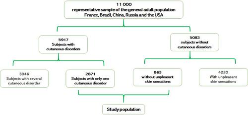 Figure 1 Study population.