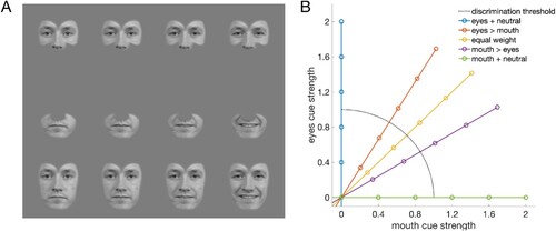 Figure 1. Stimuli. (A) The regions around the eyes and mouth were independently manipulated. (B) Schematic stimulus space. The strength of expressions (angry/happy) in the eyes and mouth were systematically varied relative to the discrimination threshold measured with isolated cues (eyes/mouth). Each coloured line represents one combination of mouth and eyes in the cue integration task, with each dot representing one intensity level used while measuring psychometric functions for expression discrimination of whole faces.
