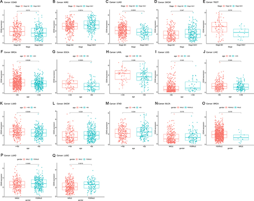 Figure 4 Relationship of clinical phenotype and CD48 expression. (A-E) Relationship of stage and CD48 expression in COAD, KIRC, LUAD, SKCM, and TGCT. (F-M) Relationship of age and CD48 expression in BRCA, LAML, ESCA, LUAD, LIHC, LGG, STAD and SKCM. (N-Q) Relationship of gender and CD48 expression in BLCA, BRCA, LUAD, and LUSC.