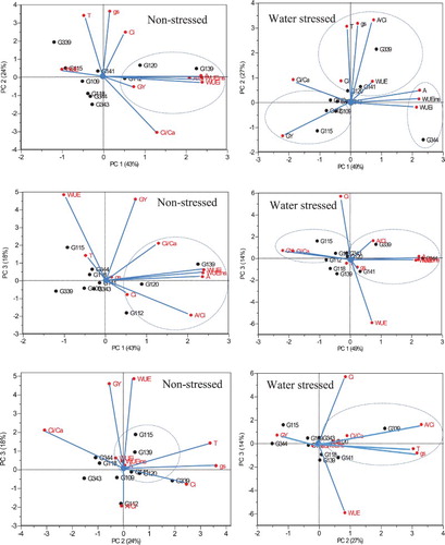 Figure 2. Rotated principal component scores and percent explained variance of PC1 vs PC2, PC1 vs PC3 and PC2 vs PC3 showing the grouping of wheat genotypes based on leaf gas exchange parameters, water-use efficiency and grain yield under non-stress and water stress conditions. A = Photosynthetic rate; gs = stomatal conductance; T = Transpiration rate; Ci = internal CO2 concentration; A/Ci = ratio of photosynthetic rate and internal CO2 concentration; Ci/Ca = ratio of internal CO2 concentration and atmospheric CO2; WUEi = intrinsic water-use efficiency; WUEinst = instantaneous water-use efficiency; WUE = water-use efficiency at whole-plant level; GY = grain yield.
