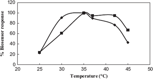 Figure 4. Optimum temperature of the biosensors [–▪–▪–: oxygen electrode, –♦–♦–: screen printed graphite electrode. Working conditions: For type I biosensor: 2,4-D concentration we used 0.1 μM; amounts of laccase activity, gelatin, and percentage of glutaraldehyde were kept constant as 4 U, 10 mg, and 2.5%, respectively. For type II biosensor: 2,4-D concentration we used 1 μM; amounts of laccase activity, gelatin, and percentage of glutaraldehyde were kept constant as 4 U, 0.2 mg, and 2.5%, respectively. 0.05 M acetate buffer containing 10 μM HBT pH 4.5, for type II biosensor; working potential = −0.7 V].