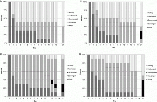 Figure 6  Daily state of carcasses observed during autumn carcass removal trial. A, Very small. B, Small. C, Medium. D, Large birds.