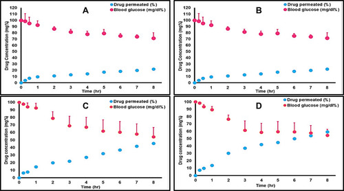 Figure 7 Point to point (level A) correlation of the drug permeation profiles and its pharmacodynamic effect: (A) Metformin HCl, (B) Metformin HCl plus tween 80, (C) Formula F4, (D) Formula F16.