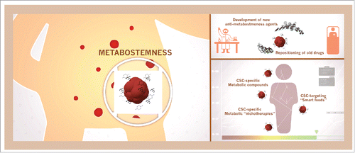 Figure 3. Metabostemness: A new therapeutic opportunity in cancer. Further knowledge is warranted to decipher the metabolic-driven control of cancer cell stemness in order to either improve novel discovery technologies or accelerate scanning of existing pharmacopoeia for repositioning candidates as a new therapeutic opportunity in cancer. New anti-metabostemness strategies should involve not only a conventional development of drugs directly targeting CSC metabolism,Citation144-146 but also should consider the metabolic demands associated with the acquisition of CSC-like cellular states and therefore the influence of environmental metabolic factors and their usage in the epigenetic control of cell fate in cancer tissues.