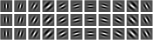 Figure 7. Example of the real parts of the Gabor filters with different orientations and frequencies to capture various patterns. These filters are also used to create one of our filter banks.