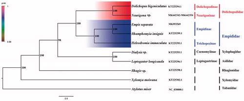 Figure 1. Bayesian phylogenetic tree of 10 Diptera species. The posterior probabilities are labeled at each node. Genbank accession numbers of all sequence used in the phylogenetic tree have been included in Figure 1 and corresponding to the names of all species.