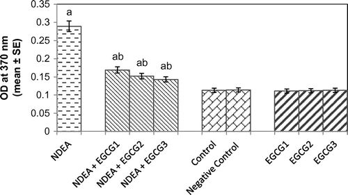 Figure 7. Protein carbonyl content measured in rat liver after 21 days of treatment with NDEA alone and together with different amounts of epigallocatechin gallate.