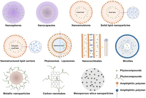 Figure 2 Different types of oral nano delivery systems of antidiabetic phytocompounds for T2DM treatment.