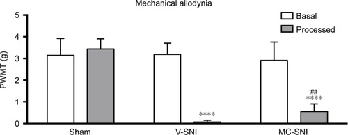 Figure 1 The paw withdrawal mechanical thresholds (PWMTs) at baseline and 7 days after modeling are presented as mean ± standard error (n=6). ****P<0.0001 indicates a statistically significant difference when compared to its baseline and Sham group and ##P<0.001 indicates a statistically significant difference when compared to the V-SNI group.