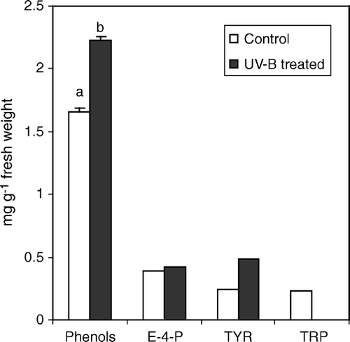 Figure 2.  Total phenolic compound, erythrose 4 phosphate (E-4-P), tyrosine (TYR) and tryptophan (TRP) contents, in leaf extracts from C. sativus control plants and irradiated with UV-B light. Values are expressed in mg g−1 fresh weight±SD. Different letters indicate highly significant differences (p<0.05).